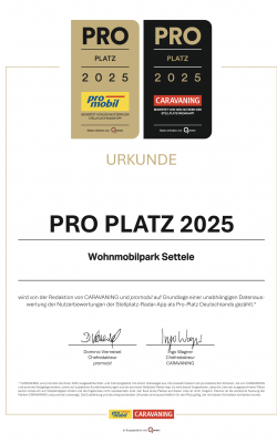 Auszeichnung_ProMobil